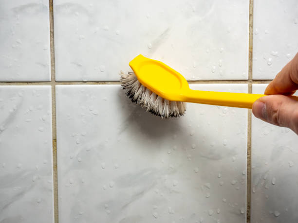 Best Localized Mold Remediation (e.g., coastal areas, humid climates) in Kennedy, CA