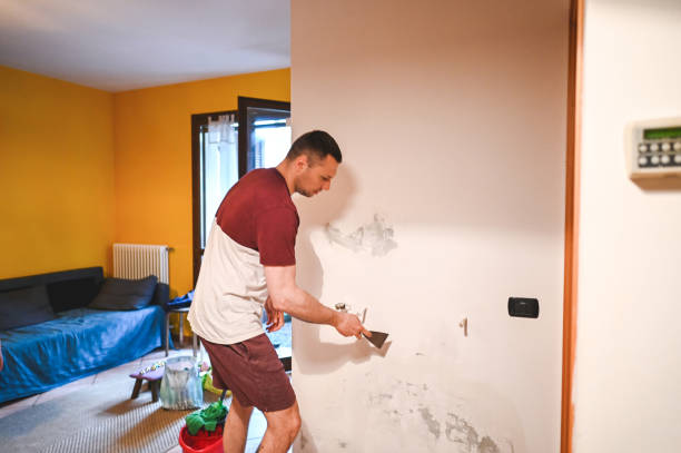 Trusted Kennedy, CA Mold Remediation Experts